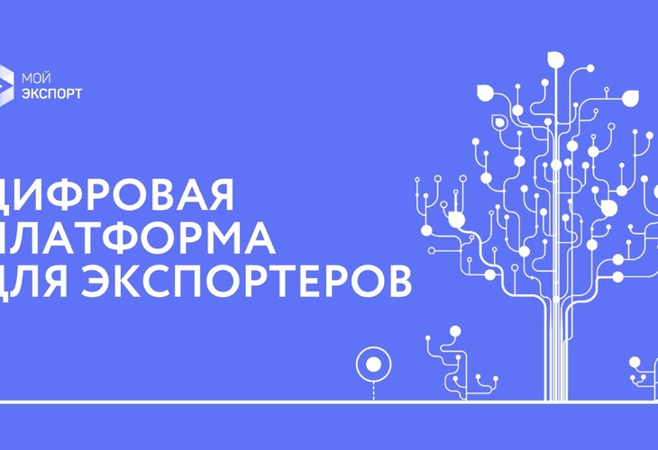 Предприниматели Татарстана могут выйти на внешние рынки с помощью Цифровой платформы «Мой экспорт»